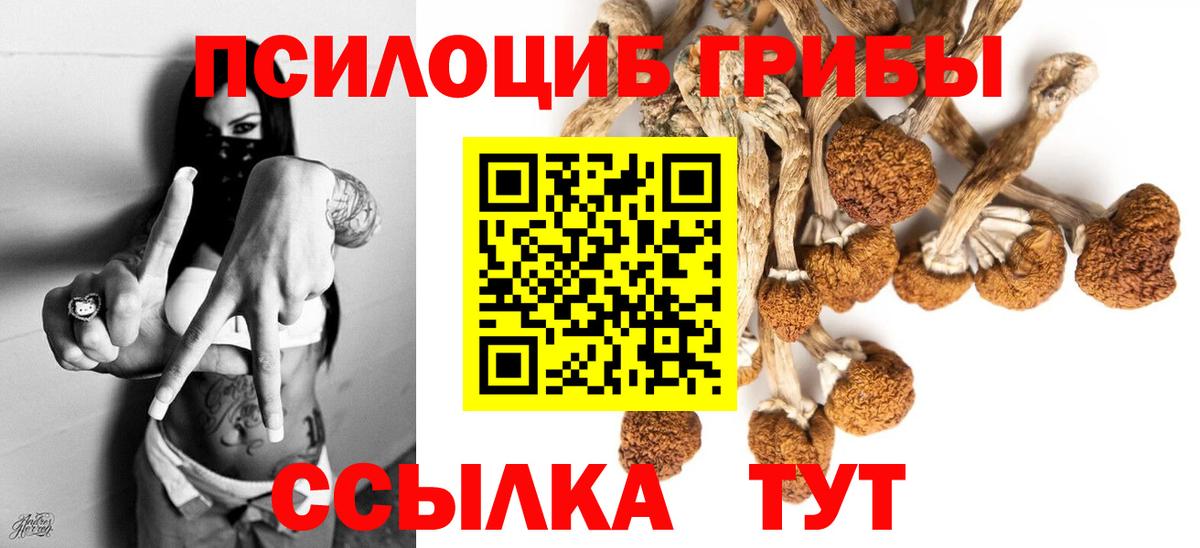 Галлюциногенные грибы прущие грибы  Псилоцибиновые грибы Psilocybe  Вход с VPN  Якутск 